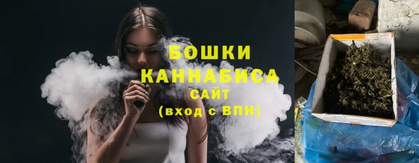 тгк Богородицк