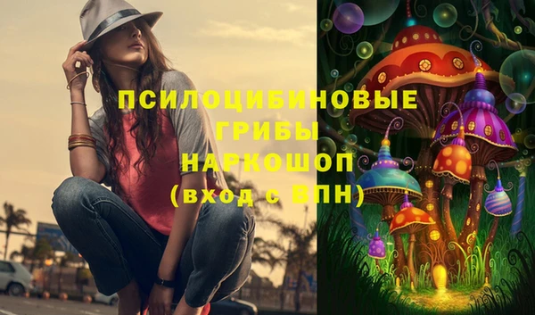 синтетический гашиш Богородск