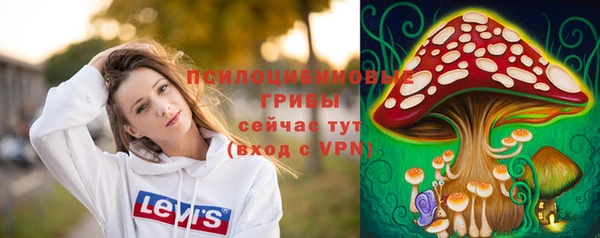 синтетический гашиш Богородск