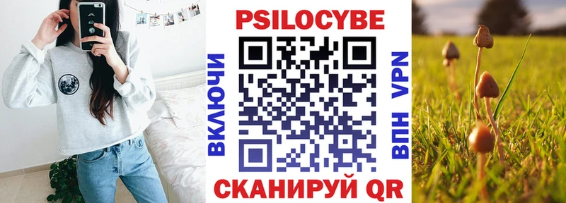 Галлюциногенные грибы прущие грибы Княгинино
